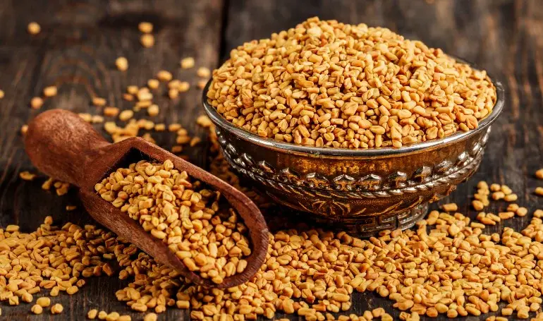 মেথির উপকারিতা ও অপকারিতা: জানুন সঠিক ব্যবহার ও সতর্কতা